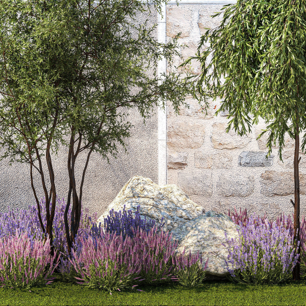 Beautiful garden with Olive Elaeagnus Lavender flowers 1372