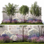 Beautiful garden with Olive Elaeagnus Lavender flowers 1372