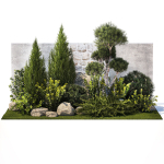 Beautiful garden with thuja cypress pine juniper 1374