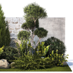 Beautiful garden with thuja cypress pine juniper 1374