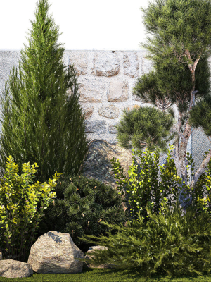 beautiful-garden-with-thuja-cypress-pine-juniper-1374-3d-model-52612bdb9f