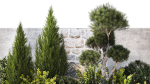 Beautiful garden with thuja cypress pine juniper 1374
