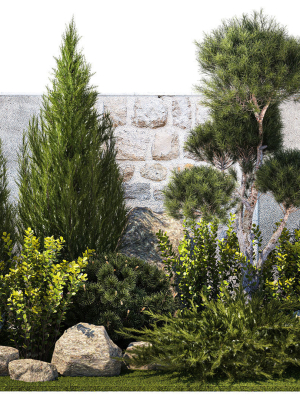 Beautiful garden with thuja cypress pine juniper 1374