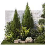 Beautiful garden with thuja cypress pine juniper 1374