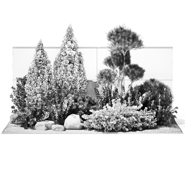 Beautiful garden with thuja cypress pine juniper 1374
