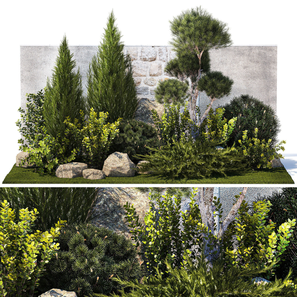 Beautiful garden with thuja cypress pine juniper 1374