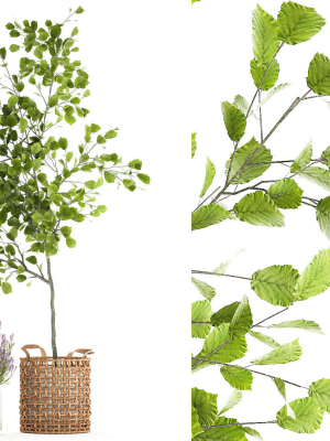 beautiful-plants-in-a-basket-lavender-bush-and-tree-1369-3d-model-22dc1878a6