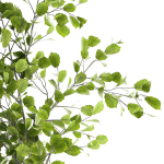 Beautiful plants in a basket lavender bush and tree 1369