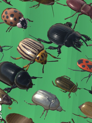 beetles-pack-of-insects-3d-model-low-poly-rigged-fbx-blend-dae-gltf