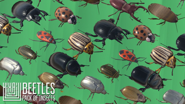Beetles - pack of insects
