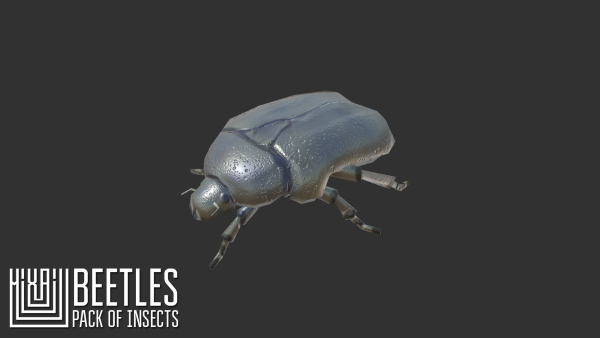 Beetles - pack of insects