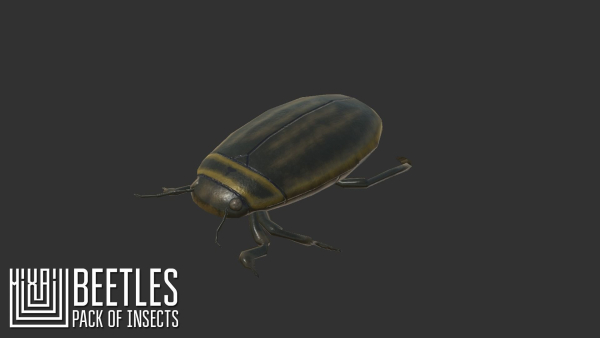 Beetles - pack of insects