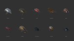Beetles - pack of insects