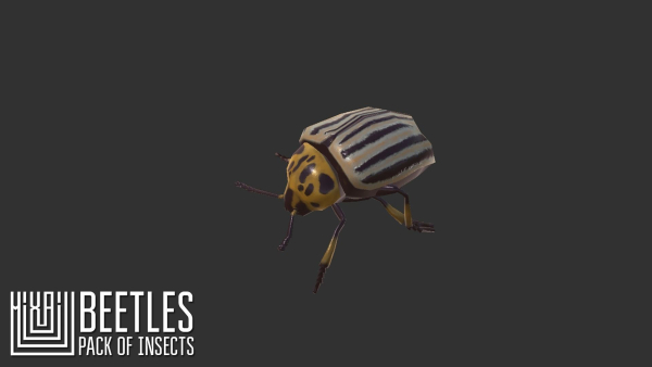 Beetles - pack of insects