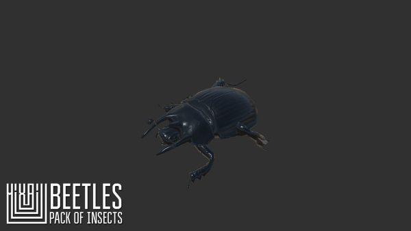 Beetles - pack of insects