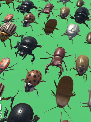 Beetles - pack of insects