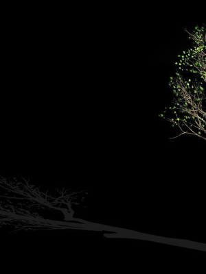 big-tree-plant-wood-045-3d-model