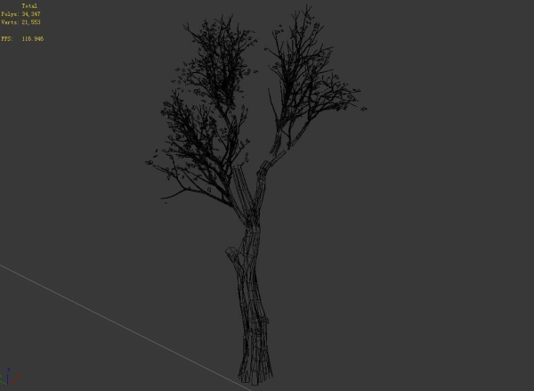 Big tree-plant-wood 045