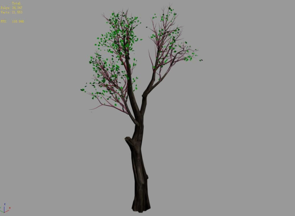Big tree-plant-wood 045