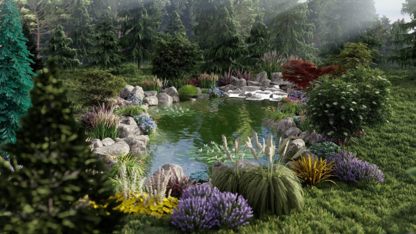 Biopond Landscape Scene