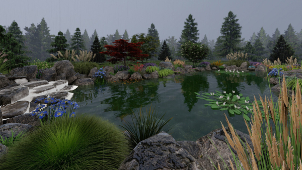 Biopond Landscape Scene