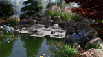 Biopond Landscape Scene