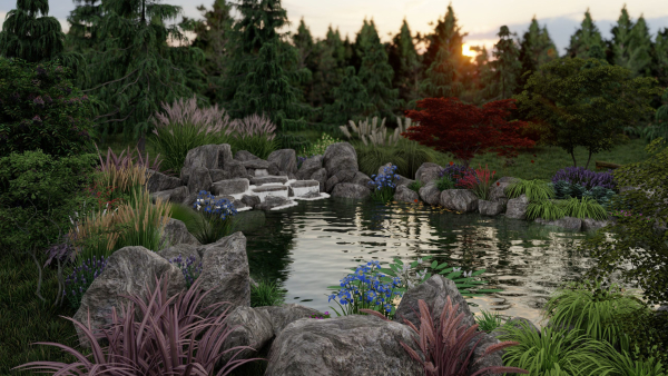 Biopond Landscape Scene