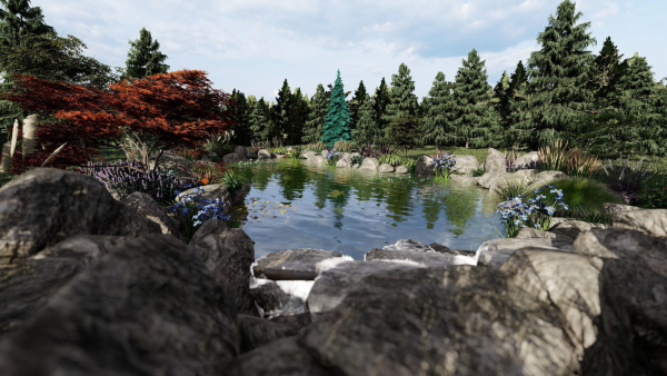 Biopond Landscape Scene
