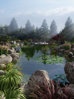 Biopond Landscape Scene