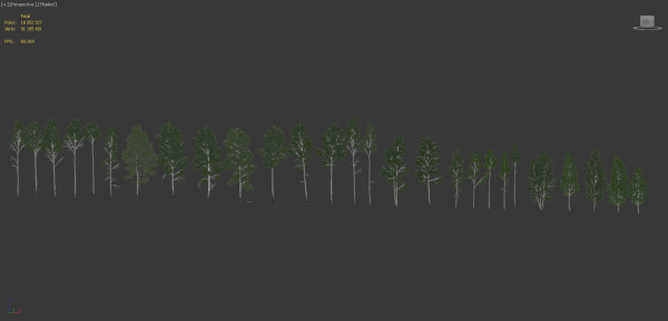 Birch forest collection