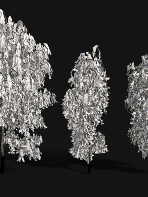 birch-tree-pack-3d-model-obj-fbx-blend