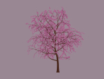 Blossom Tree