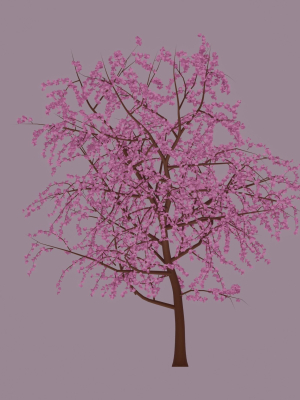 Blossom Tree