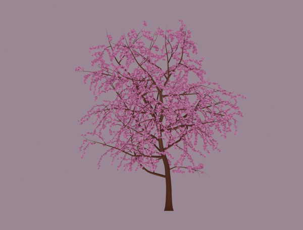 Blossom Tree