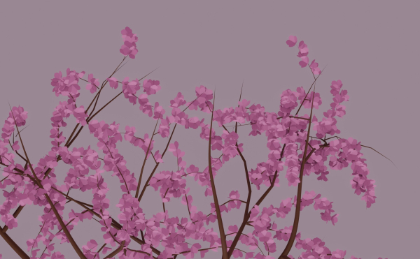 Blossom Tree
