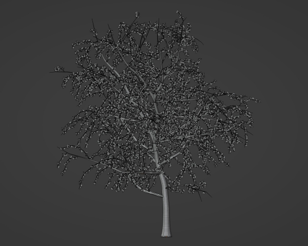 Blossom Tree