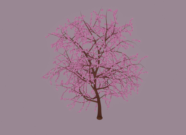 Blossom Tree