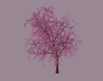 Blossom Tree