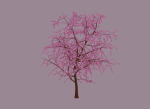 Blossom Tree