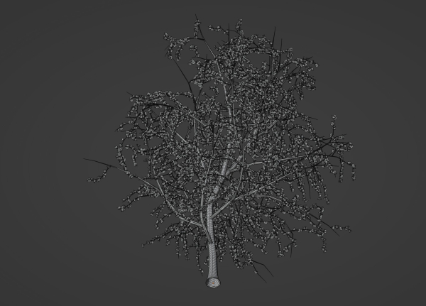Blossom Tree