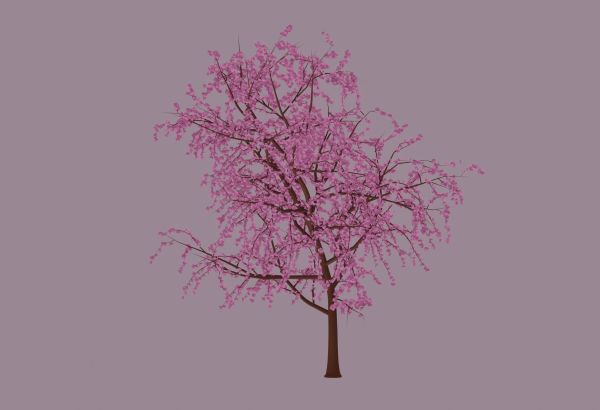 Blossom Tree