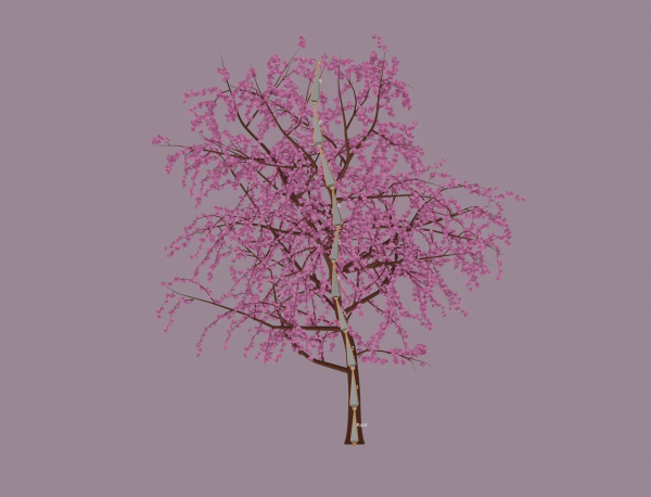Blossom Tree