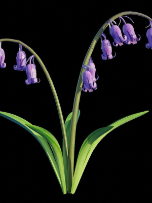 blue-bell-flower-3d-model-obj-fbx-blend-dae