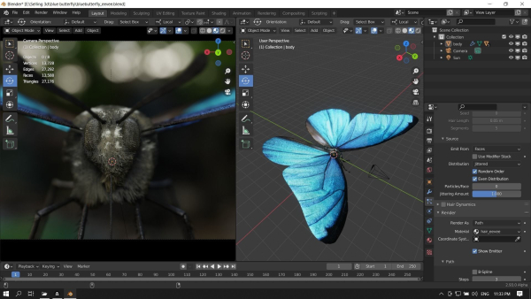 Blue Morpho Butterfly