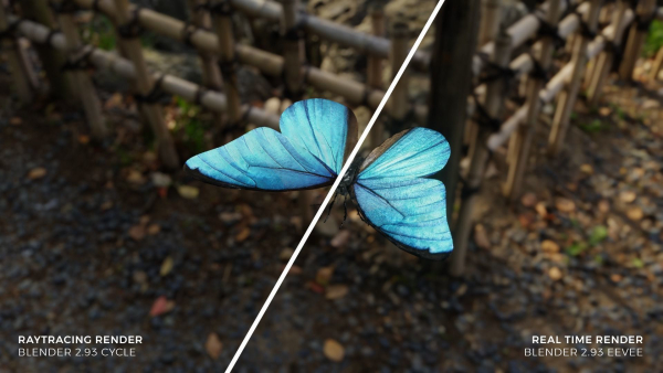 Blue Morpho Butterfly