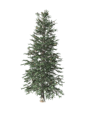 blue-spruce-tree-3d-model-max-obj-fbx