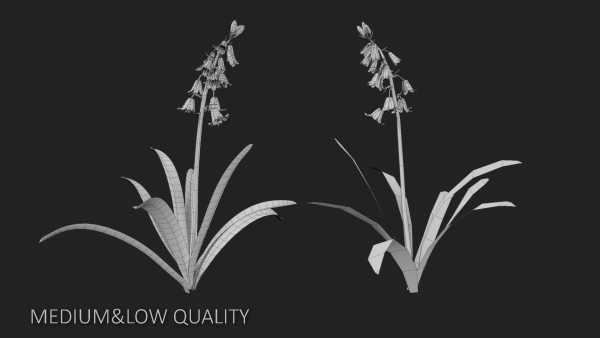 Bluebell Pack vol05