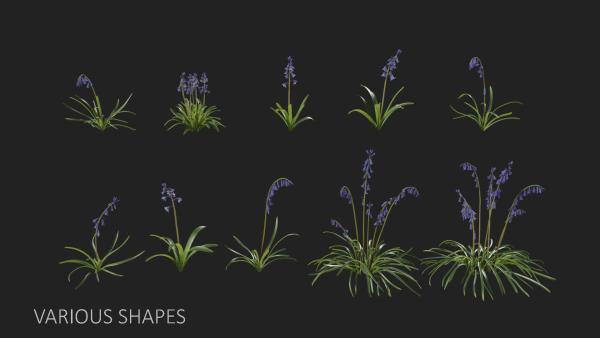 Bluebell Pack vol05