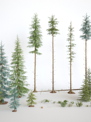 blueberry-pinetree-forest-3d-model-obj-fbx-ma-mb-mtl
