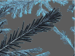Blueberry Pinetree Forest